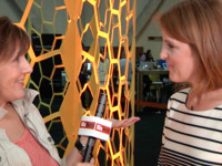 Whitney Johnson explains disruptive innovation