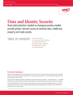 Data and Identity Security whitepaper