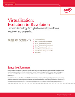 Virtualization: Evolution to Revolution