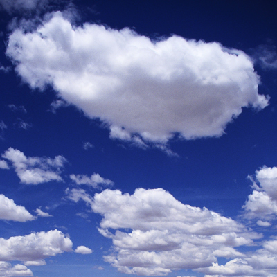 Does the Softer Side of Sears Lie in the Cloud?