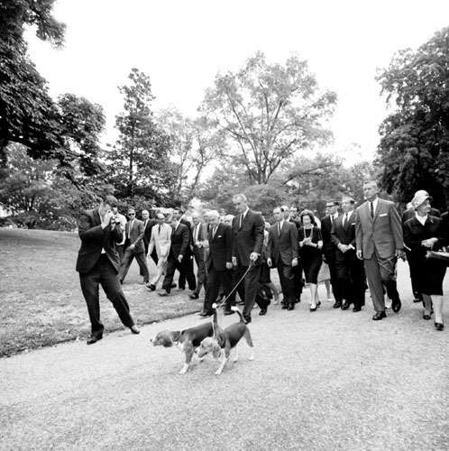 Don’t Be Like LBJ’s Beagle, Fix Your Tech Pains