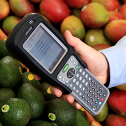 Honeywell Dolphin barcode scanner Honeywell Dolphin barcode scanner