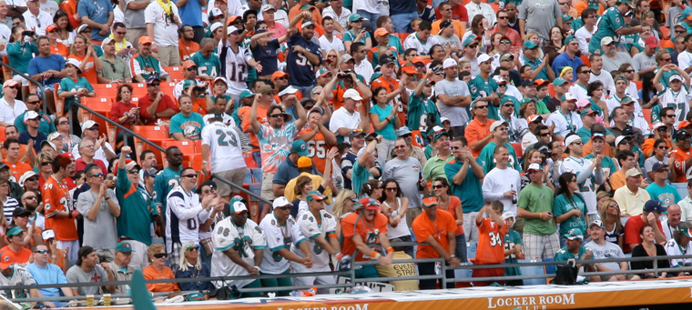 Miami Dolphins fans