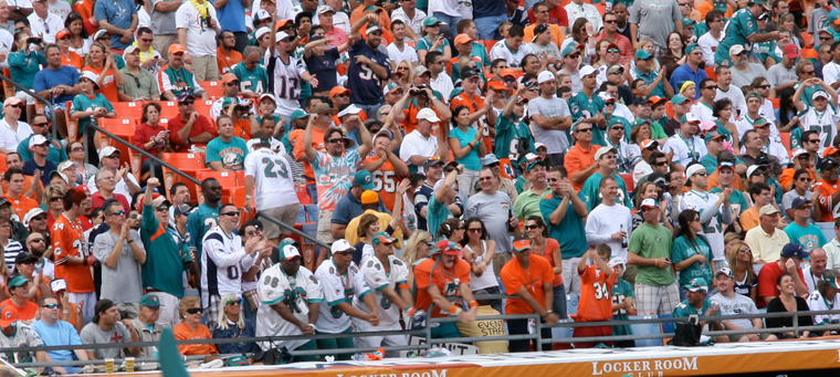 Miami Dolphins fans Miami Dolphins fans
